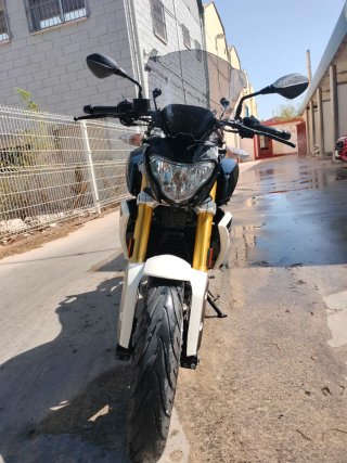 BMW 310G Naked  lanca y Negra