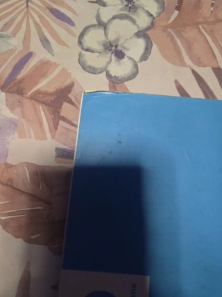 Lengua castellana y literatura Andalucia