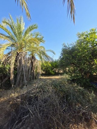 Chalet en venta en Puerto de la Torre - Atabal en Málaga