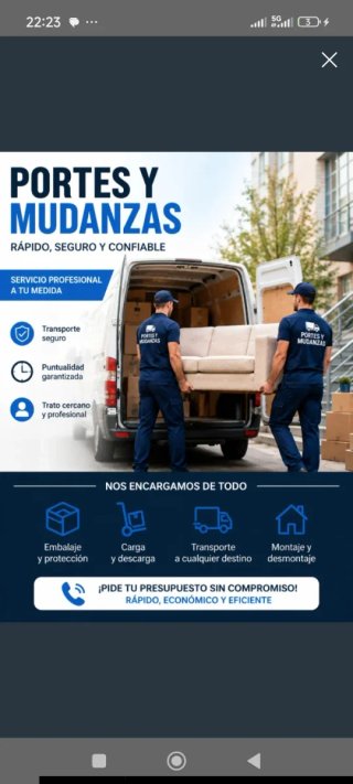 Portes y Mudanzas profesionales