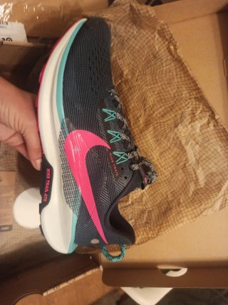 Nike Pegasus Trail 5