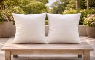 2 Cojines Blancos 60x60