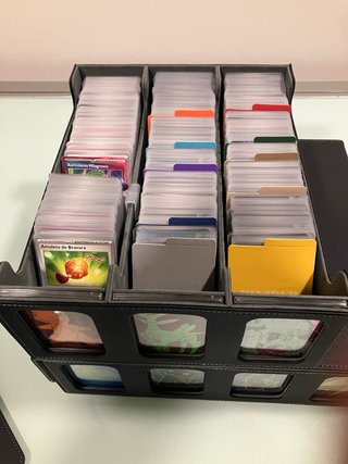 POKEMON TCG CAJA DE CARTAS JCC JUEGO DE MESA