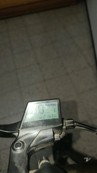 Patinete Eléctrico Ecoxtrem Bison