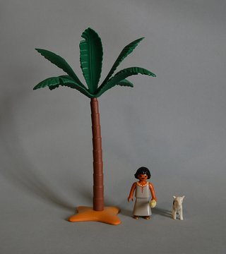 Playmobil Pastorcilla Con Cabrita Y Palmera