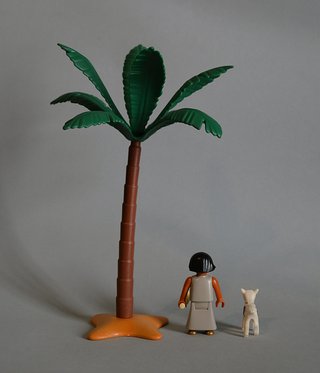 Playmobil Pastorcilla Con Cabrita Y Palmera