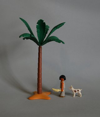 Playmobil Pastorcilla Con Cabrita Y Palmera