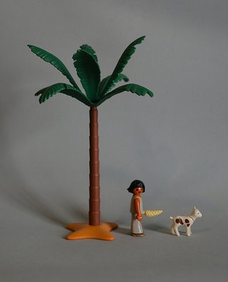 Playmobil Pastorcilla Con Cabrita Y Palmera