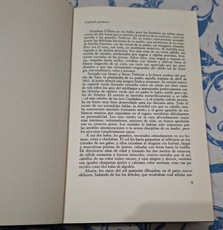 Lo que el viento se llevo