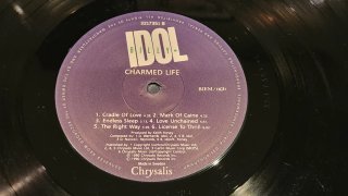 Billy Idol - Charmed Life Vinilo