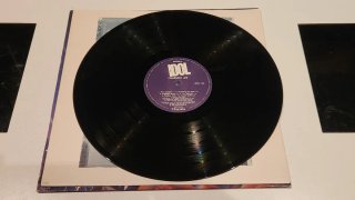 Billy Idol - Charmed Life Vinilo