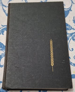 Los hermanos Kamarazov