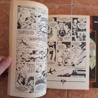 Cómics Puños de Hierro