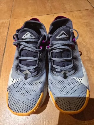 Nike Pegasus Trail 2 Talla 36.5