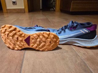 Nike Pegasus Trail 2 Talla 36.5