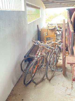 Bicicletas Vintage Paseo Antiguas