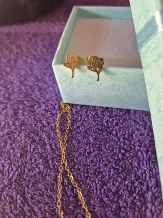 Conjunto Colar e Brincos Aço Inox Rosa Dourado