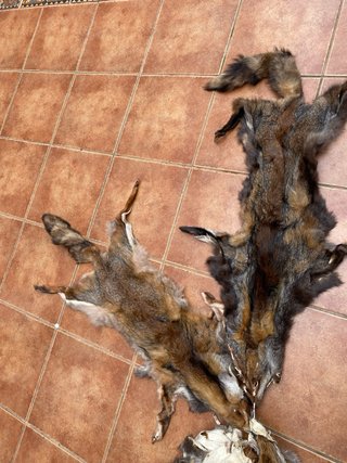 Piel de zorro natural 120 cm mais menos