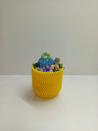 Arreglo floral vela cactus y suculentas