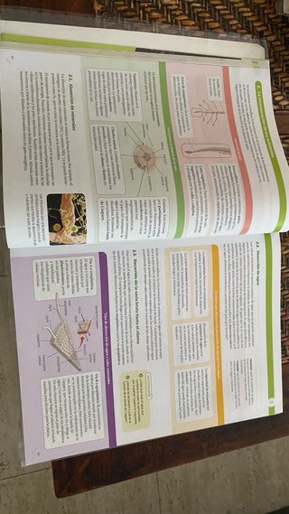Biología, Geología y Ciencias Ambientales 1 Bac...