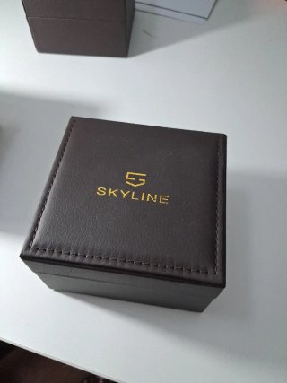 Reloj Skyline 8255 Negro y Dorado