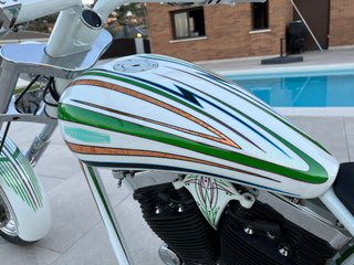 Harley Davidson 1995 Custom