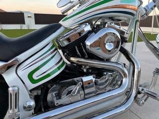 Harley Davidson 1995 Custom