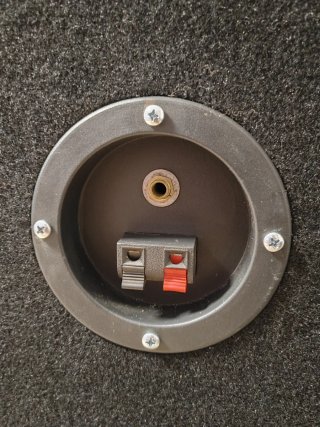 Altavoz Bafle 150W RMS / 500W Pico 8 Ohm