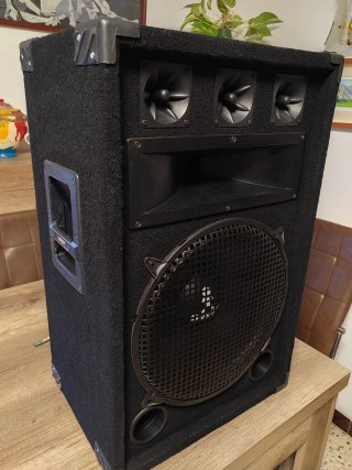 Altavoz Bafle 150W RMS / 500W Pico 8 Ohm