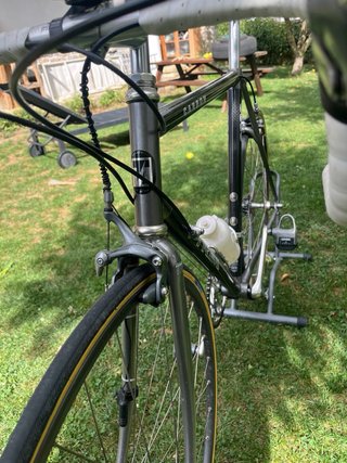 Bici Trek Carbon Talla 56