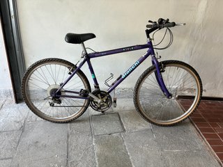Bicicletta Bianchi Nyala Donna Viola taglia S/M