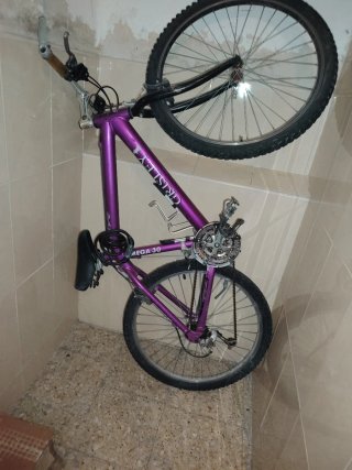 Bicicleta Grisley Mega 30 Morada