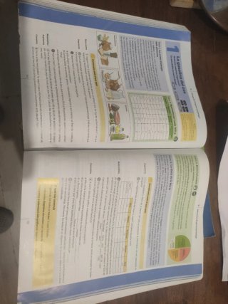 Matemàtiques, 1 ESO, Codi obert, Aprenentatge b...