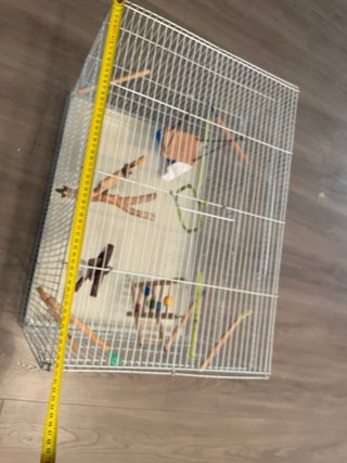 Jaula grande para periquitos, canarios o loros
