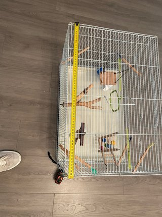 Jaula grande para periquitos, canarios o loros