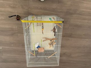 Jaula grande para periquitos, canarios o loros