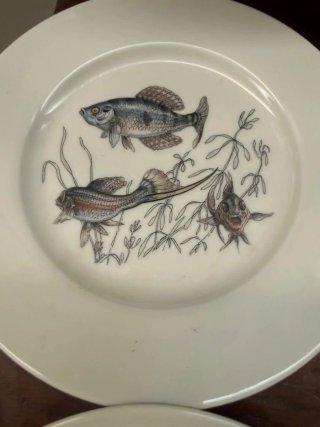 Antichi piatti in porcellana con pesci