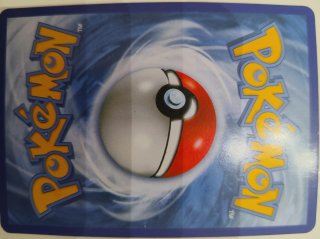 Carta Pokémon Charizard EX 134/108 SAR Japonesa