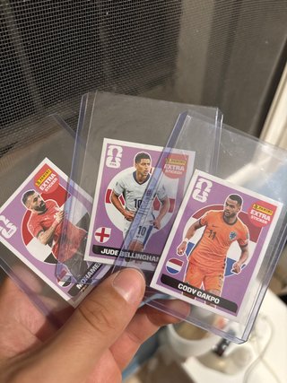 Panini FIFA Extra Stickers