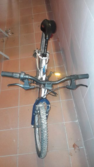 Bicicleta Rockrider ST 120 Infantil 20