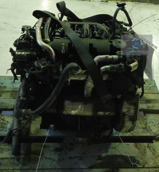 MOTOR COMPLETO Ford Focus Berlina (CAP)(08.2004->)