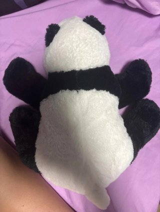 Peluche Oso Panda Suave