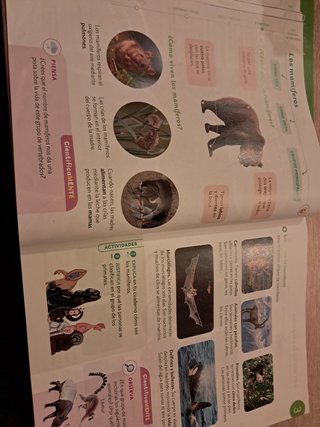 Ciencias de la naturaleza, 3 Primaria