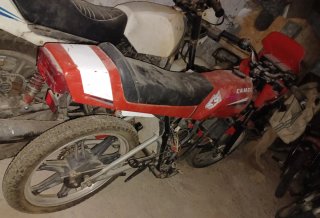 Moto Classica