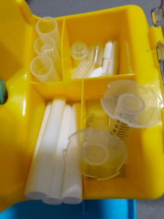 Laboratorio Rotuladores Olorosos Crayola