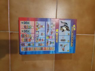 Álbum y Lote Oficial de Pokémon Advanced (Panini)