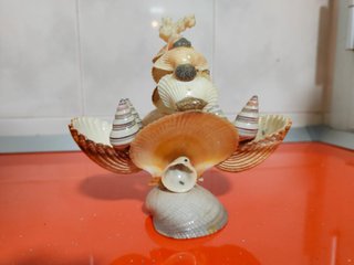 Cesta Decorativa Conchas Marinas
