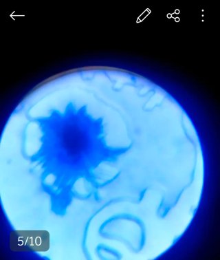 Microscopio Edu Science Azul