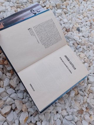 El día Que Se Perdió la Cordura (Edición Limita...