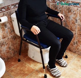 Silla Wc adultos